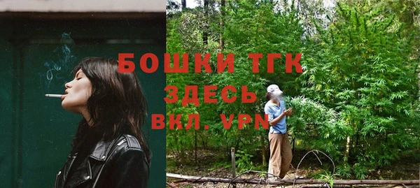 спиды Няндома
