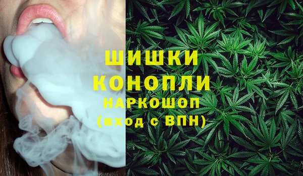 ПСИЛОЦИБИНОВЫЕ ГРИБЫ Алексеевка