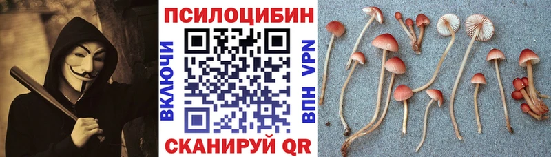 Галлюциногенные грибы Psilocybe  Холмск 